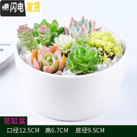 三维工匠多肉花盆白色陶瓷盆长方形肉肉植物简约白瓷多肉盆小绿植花卉盆器 花缸盆【口12.5X12.5X高6.7】 中等