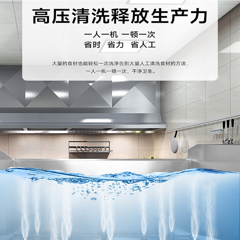 SOR松润 洗菜机 SOR-G211 2.5米双缸消毒洗菜机高清大图