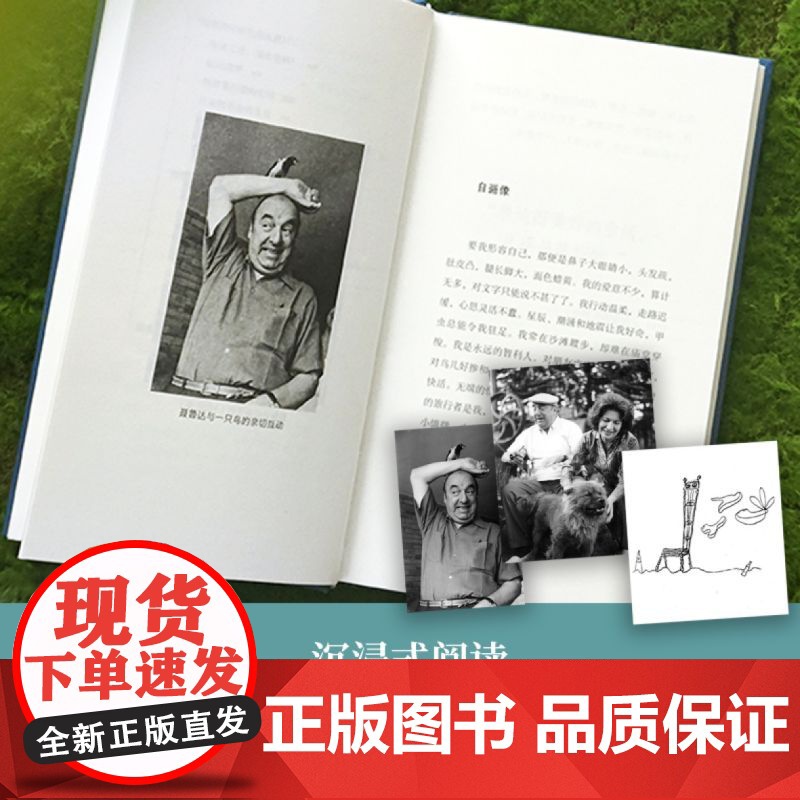 聂鲁达诗文集 巴勃罗·聂鲁达著 全新诗文集,聂鲁达诞辰1高清大图