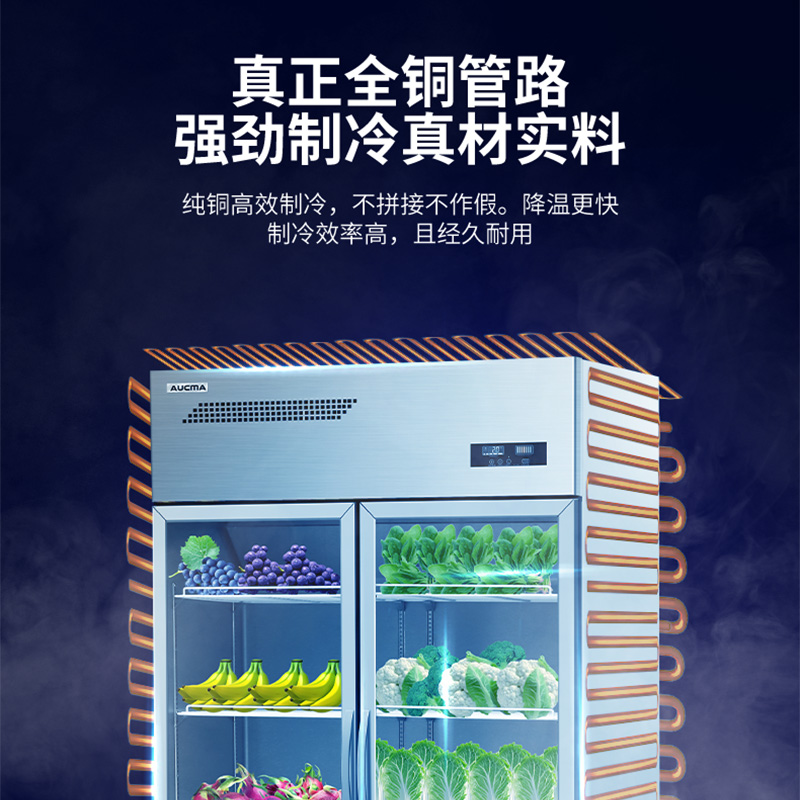 澳柯玛(AUCMA)VC-910HT三门展示柜冷藏保险柜商用点菜柜饮料柜两门开门立式高清大图