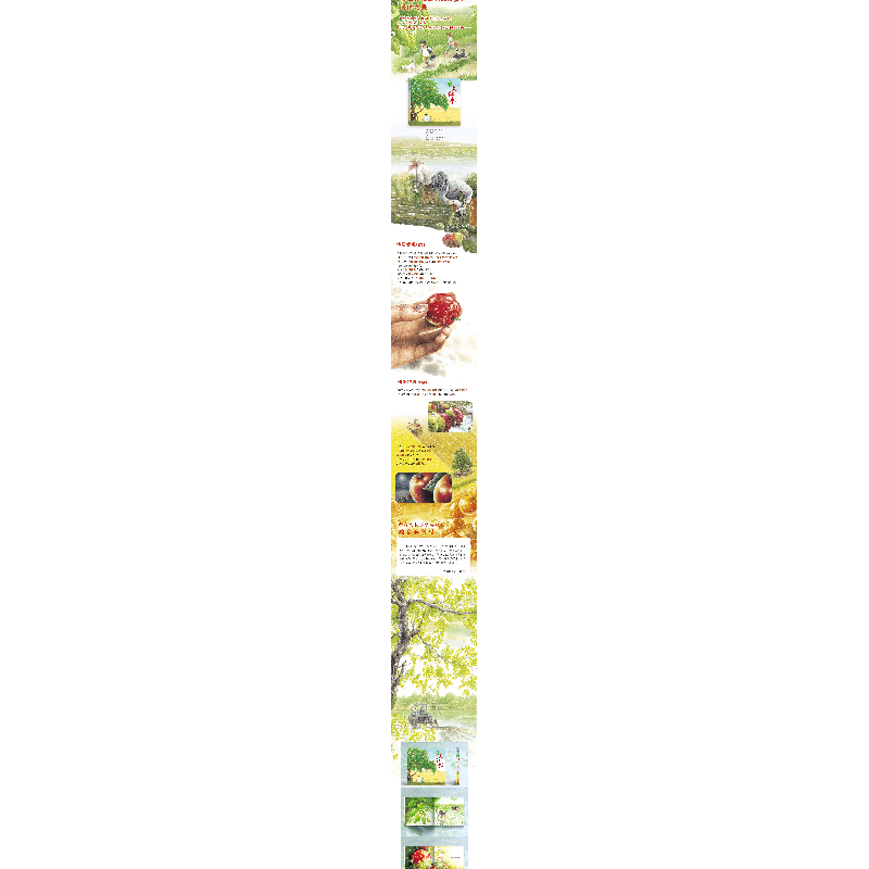 正版新书]我们的田野:大红枣(精)(韩)张锡周著(韩)刘梨绘高清大图