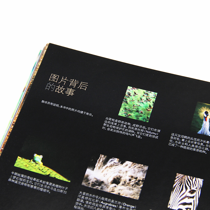 [醉染正版]自然的艺术 精装珍藏版 摄影非洲南部野生动物作品集 70余幅美照片展现非洲南部的动植物和自然景观 趣味科普百高清大图