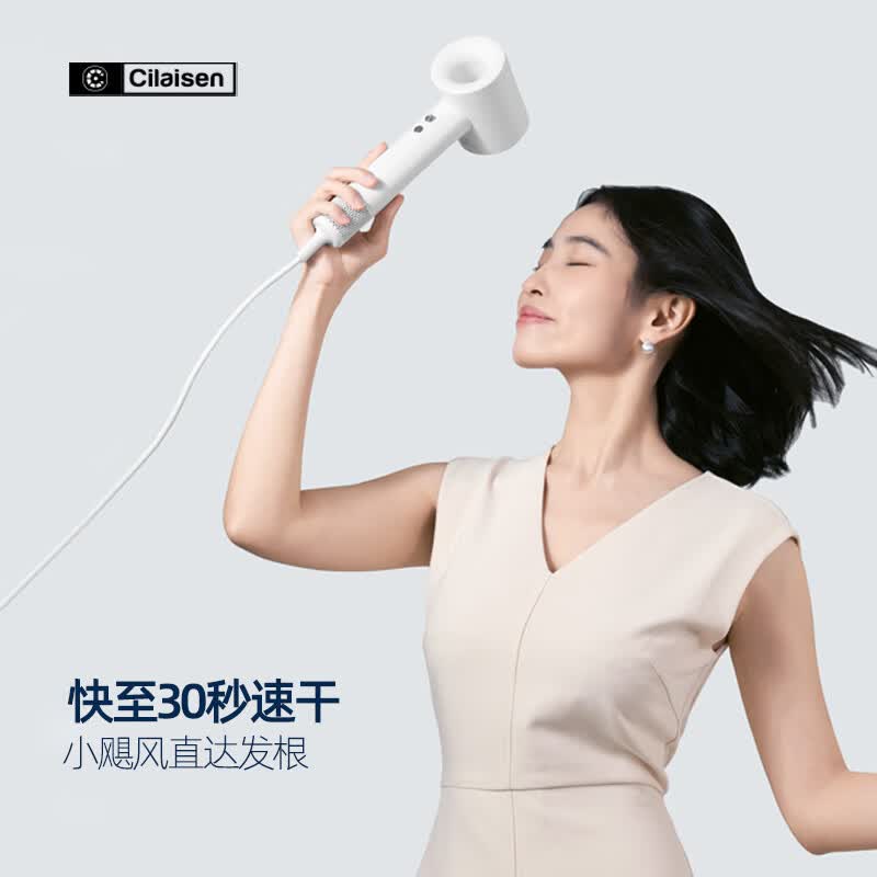 西莱森 高速等离子吹风机 CP-HD5高清大图