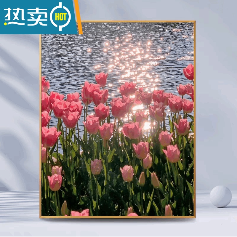 敬平数字油画diy填充油彩画简单手工涂色丙烯画减压卧室装饰画郁金香装饰画 YX010 60*75画+实木内框+L型外框组装好发货默认发黑