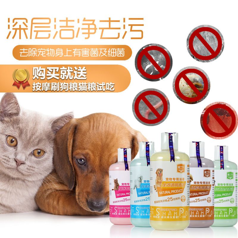 狗狗沐浴露杀菌除臭杀螨泰迪萨摩耶金毛猫咪通用宠物用品洗澡香波 猫咪专用 无礼品