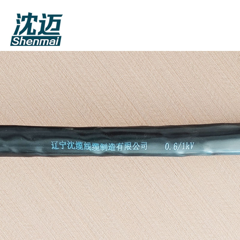 沈迈 低烟无卤阻燃电缆 WDZ-YJY-5*2.5mm² 米高清大图