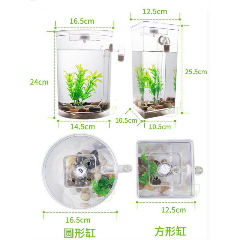 泰国斗鱼专用缸自洁懒人鱼缸自动客厅免换水小型生态塑料桌面微型高清大图