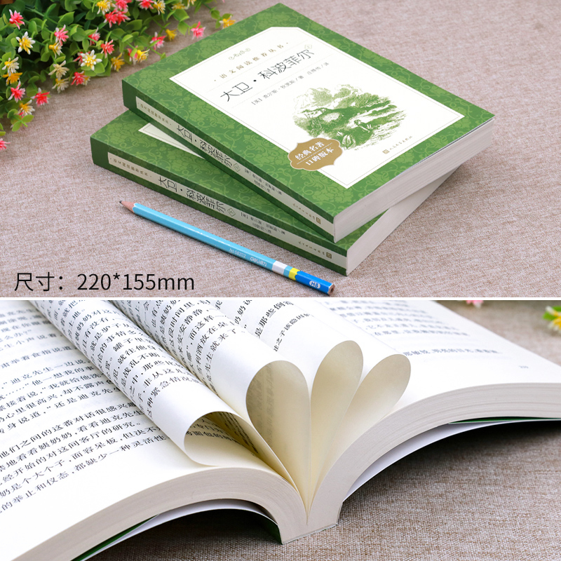 语文阅读推荐丛书:大卫.科波菲尔(全2册) [正版]大卫科波菲尔全套2册 查尔斯狄更斯 著人民文学出版社 书籍高中生版高