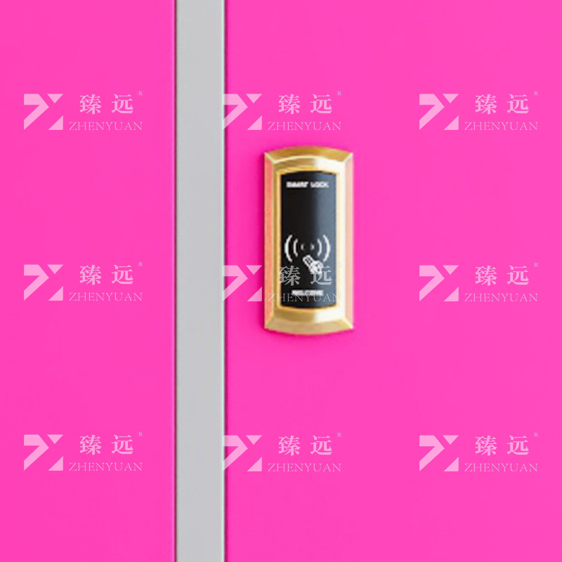 臻远 ZY-GYGC-99 彩色员工更衣柜感应锁存包柜浴室换衣柜健身房多门储物柜 六门白框红门