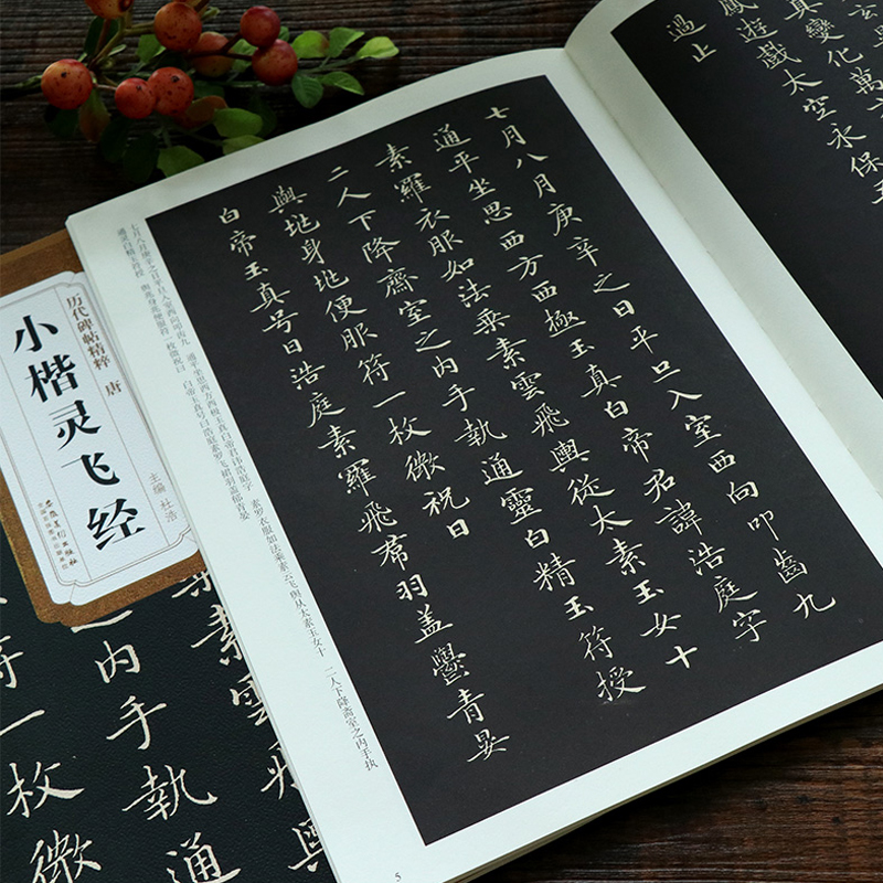 [正版]书店小楷灵飞经 历代碑帖精粹 唐古帖 简体旁注书碑帖毛笔字帖 杜浩楷书书法字画历代名家书法灵飞经古帖高清大图