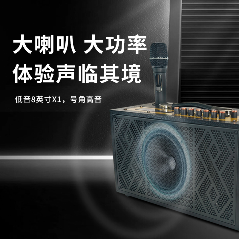 润普Runpu会议扩声手提音箱卡拉OK户外直播带无线话筒便携式会议音箱RP-EX10高清大图