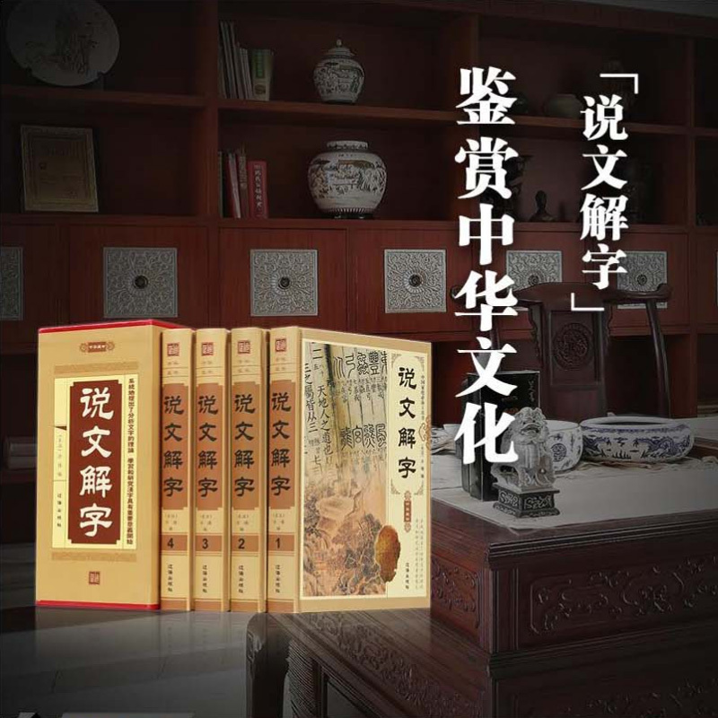正版 说文解字(全套四册)中国汉字源流 中国古代古汉语常用词典辞典 说文解字段玉裁注 汉子的故事 画说汉字书