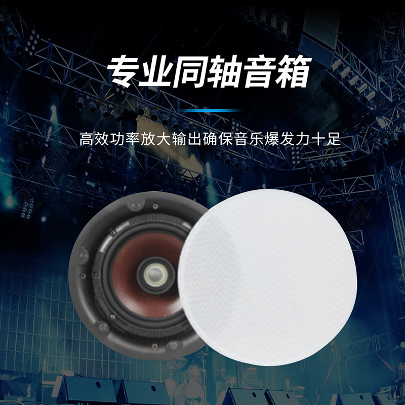 润普(Runpu)国产化音视频会议室展厅教室礼堂报告厅/定阻吊顶音响6英寸同轴音箱喇叭扬声器一只RP-XDY02