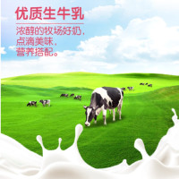 蒙牛大果粒酸牛奶芦荟黄桃果粒三角杯260g