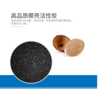 (SYR)汉斯希尔净水器中央网络版净水机 全屋除重金属异色异味余氯净水器 WS-3002-16