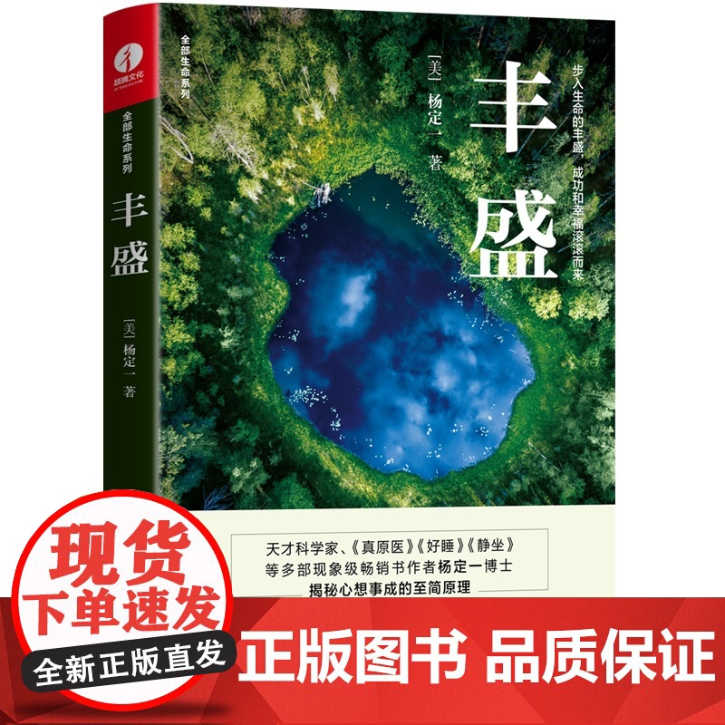 杨定一丰盛 揭露心想事成背后的秘密 《静坐》《真原医》作者新作 步入生命的丰盛 自我实现励志类书籍高清大图