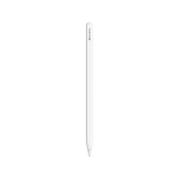 Apple Pencil Pro 适用于 11英寸和13英寸iPad Pro (M4)/iPad Air (M2)