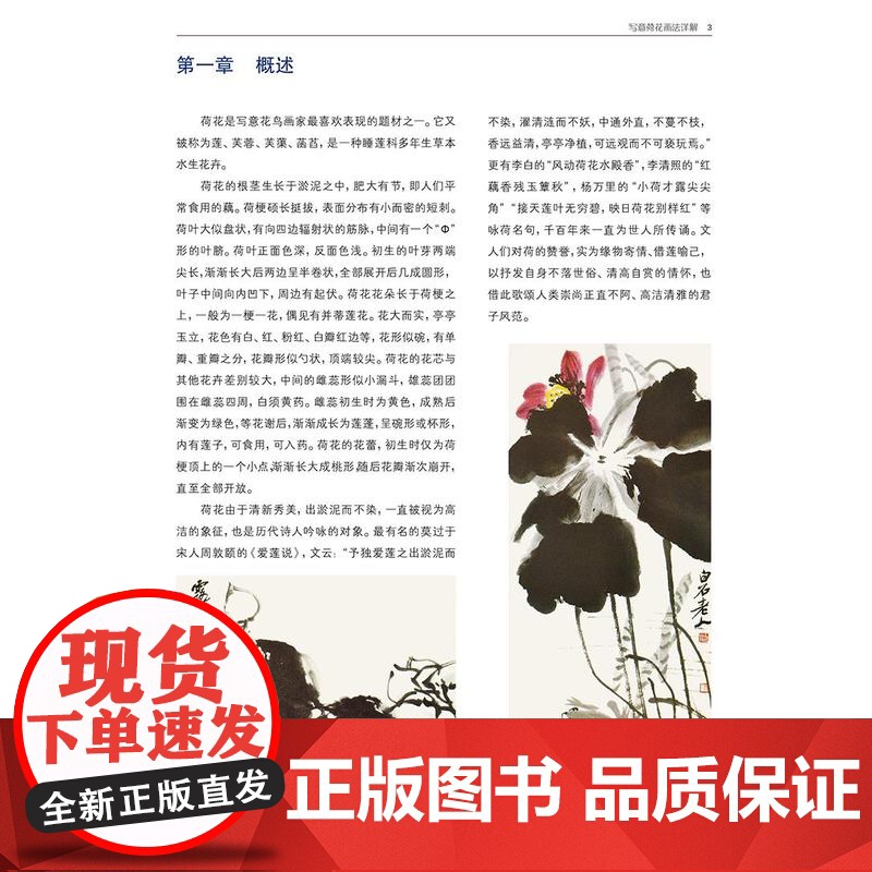 写意荷花画法详解 孙建东写意荷花画法步骤构图技巧用笔用墨技法教学技法范图国画名师技法详解丛书高清大图