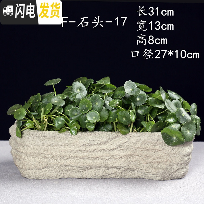 三维工匠水仙花盆铜钱水培花盆水养仿石头盆景碗莲睡莲个性创意陶瓷无孔 F-石头-17 大