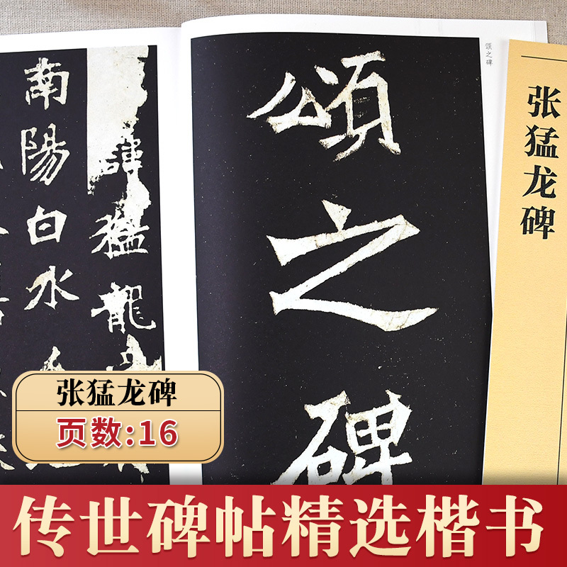 [正版]传世碑帖精选彩色本第四辑 张猛龙碑 楷书书法毛笔字贴初学者毛笔字帖入门练习 历代老碑帖法书选名品系列书法拓片