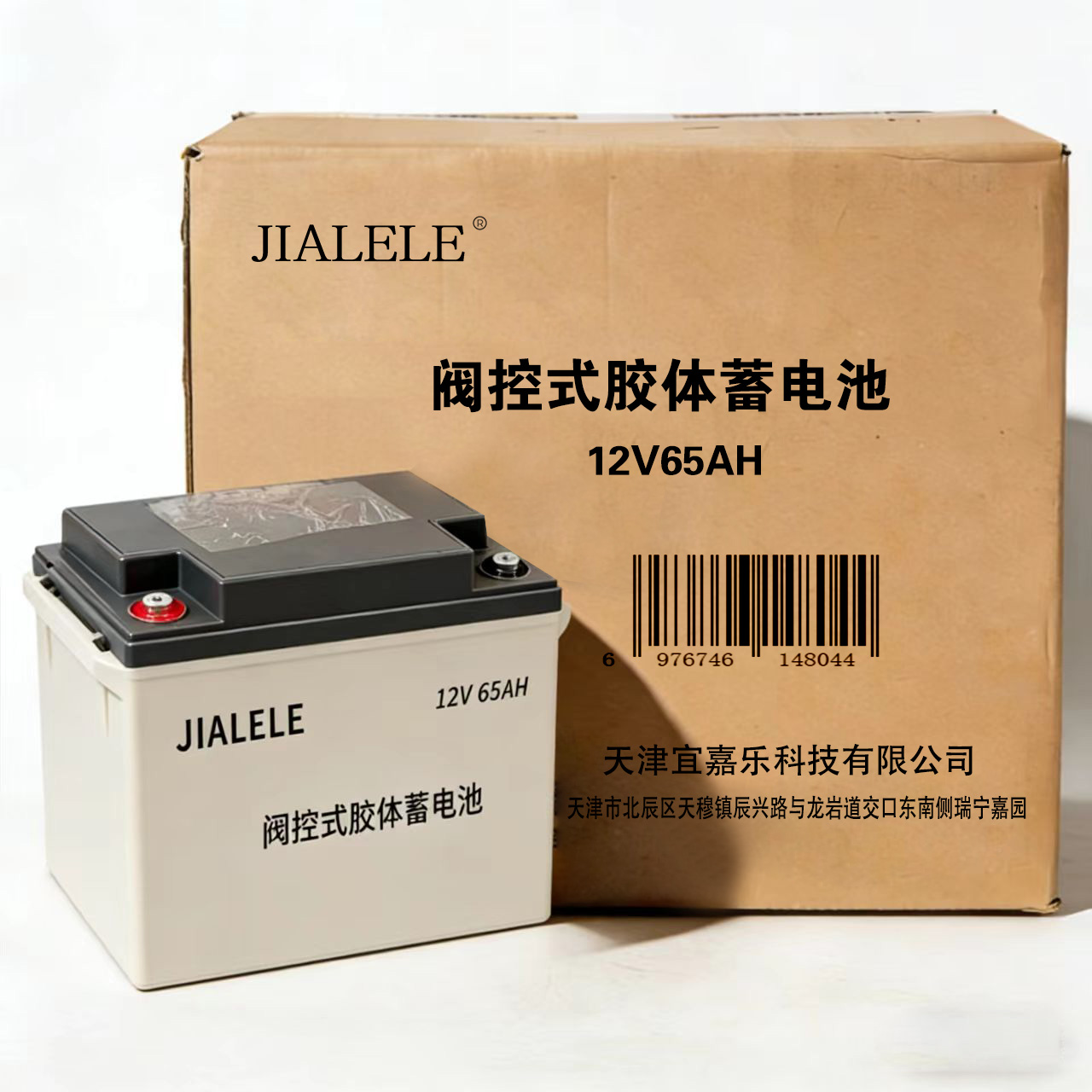JIALELE 阀控式胶体蓄电池 12V 65AH 块高清大图