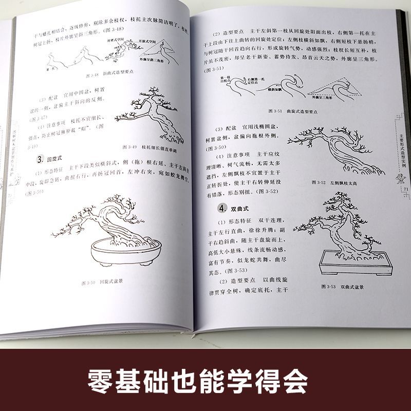 图解树木盆景制作与养护 [正版]图解树木盆景制作与养护 附石盆景盆栽树木盆景造型设计栽培书籍高清大图