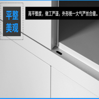 汉诺鑫威钢制文件柜办公资料柜铁皮档案柜带锁储物柜财务凭证柜中二斗器械柜