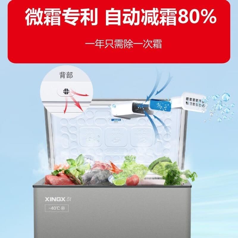 星星(XINGX)BD/BC-200SD家用商用冰柜冷柜深冷速冻冰柜超低温-40℃冷柜单温全冷冻小型大容量冰箱速冻柜铜管图片
