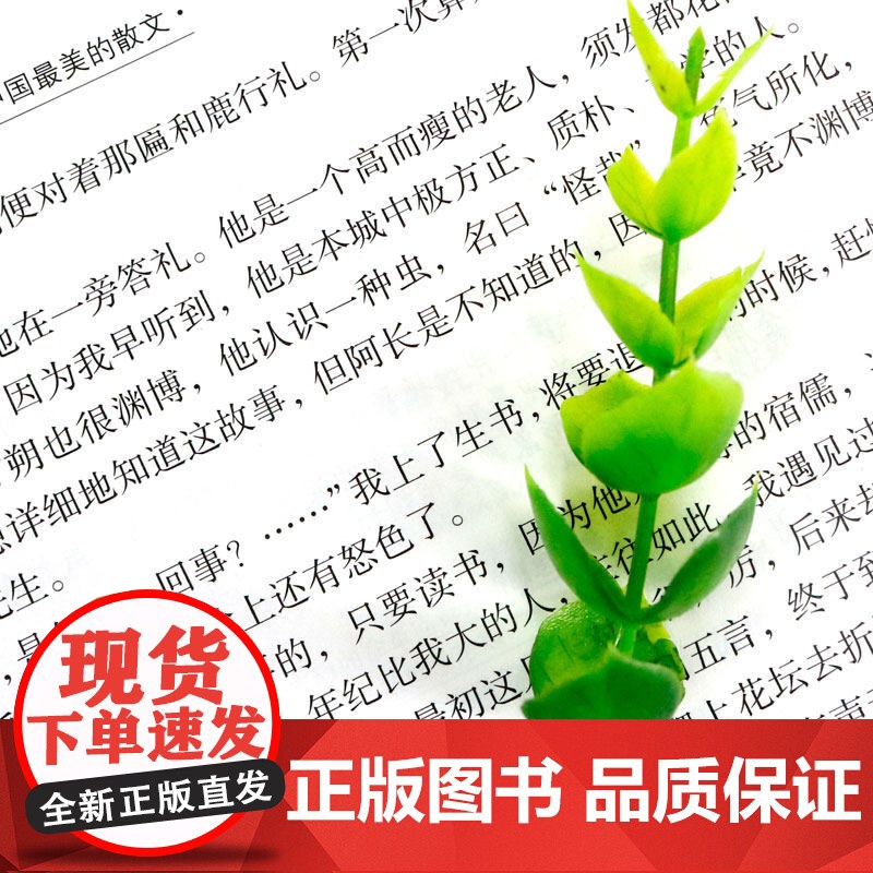 中国最美的散文 世界最美的散文高清大图