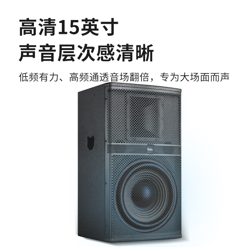 润普Runpu会议音频扩声系统专业双15英寸会议音箱无源音响礼堂会议室扩声音响设备RP-SY-XYC15高清大图