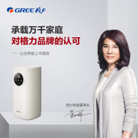 格力 (GREE)加湿器 卧室家用办公室 5升大容量 上加水 多重净化轻音 高出雾 空气加湿器SCK-50X62