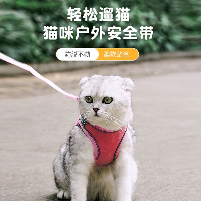 猫咪牵引绳防挣脱背心式外出专用宠物泰迪小型犬遛猫狗狗牵引绳 单个-1.5配套扁绳[可备注颜色发] S[以实际胸围脖围为准