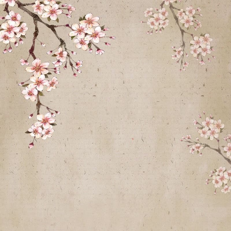 古装古风汉服唐装摄影背景手间背景布布中复古网红快|10月89 1.5米宽1.8米图片