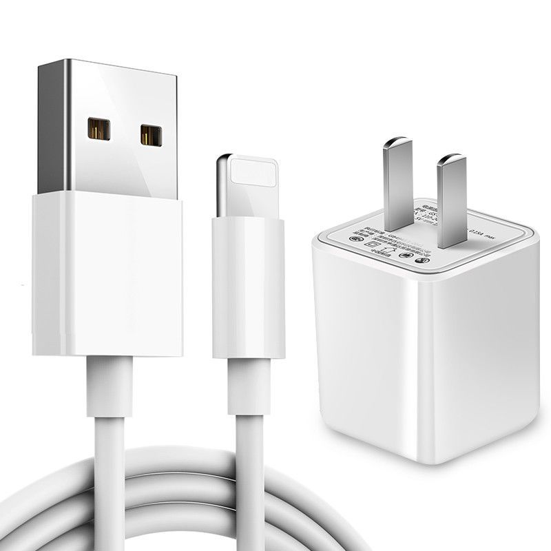 苹果充电器iphone66sp78plus充电头5xrxsmaxipad数据线2米数据线2条