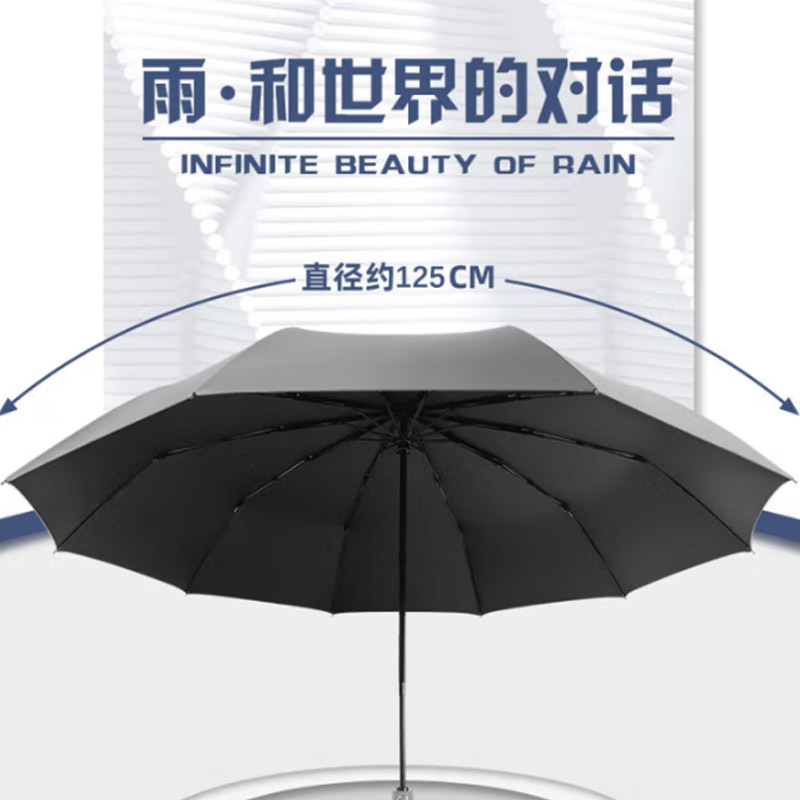 艾逸瑶选 朋克系列10骨加厚黑胶超大全自动晴雨伞 YS-1846