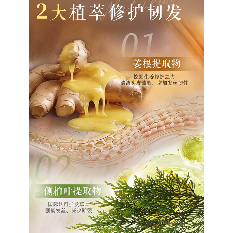 片仔癀[官方旗舰店]强韧护发洗发水防断发生姜滋养修护干爽不拔干 片仔癀净爽清透沐浴露500g高清大图