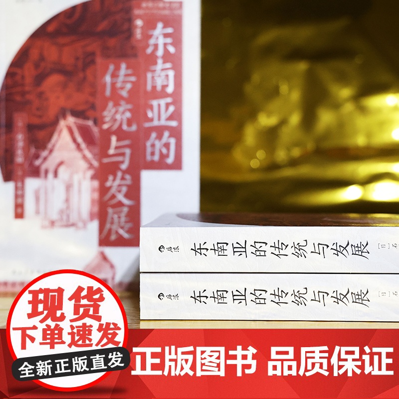 东南亚的传统与发展 穿越千年历史 探索东南亚复杂民族与多元文化 深入了解充满生机和挑战的地区 后浪正版书籍高清大图