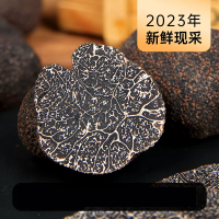 [西沛生鲜]新鲜黑松露 100g装 单个4-5cm 松茸松露菌云南特产白松露菌野生菌猪拱菌菌菇块菌