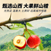 山西特产蜜饯休闲零食即食红枣山楂350g