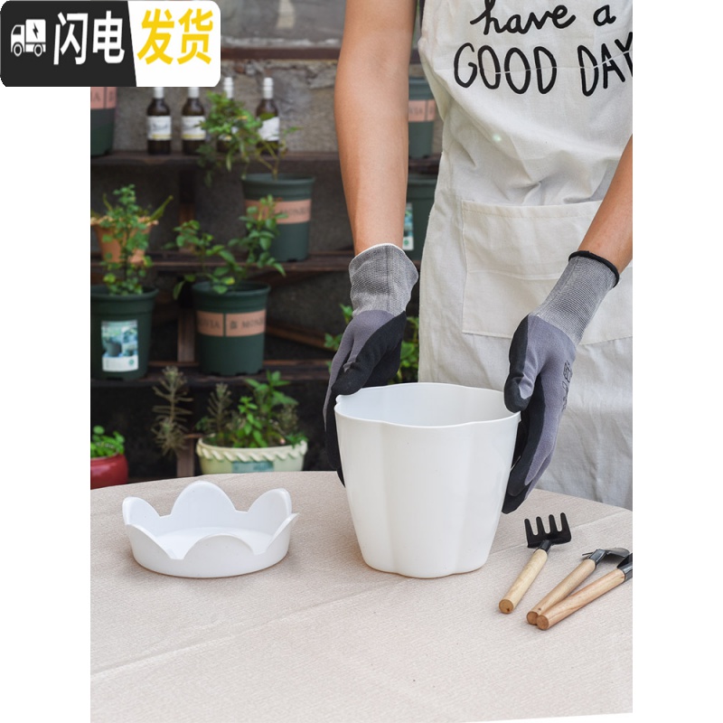 三维工匠大号加厚塑料花卉多肉花盆家用园艺种莓苗大盆栽绿萝花盆送托盘 园艺小工具三件套 大花盆容器高清大图