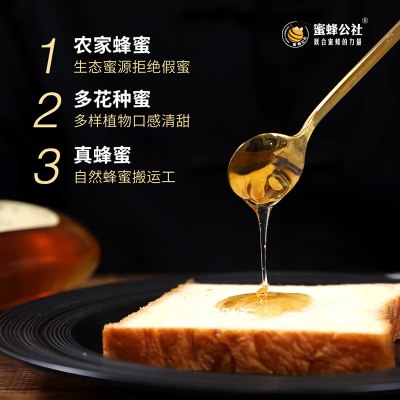 蜜蜂公社 小瓶装蜂蜜天然蜂巢蜜农家自产土蜂蜜480g/瓶纯正蜂蜜
