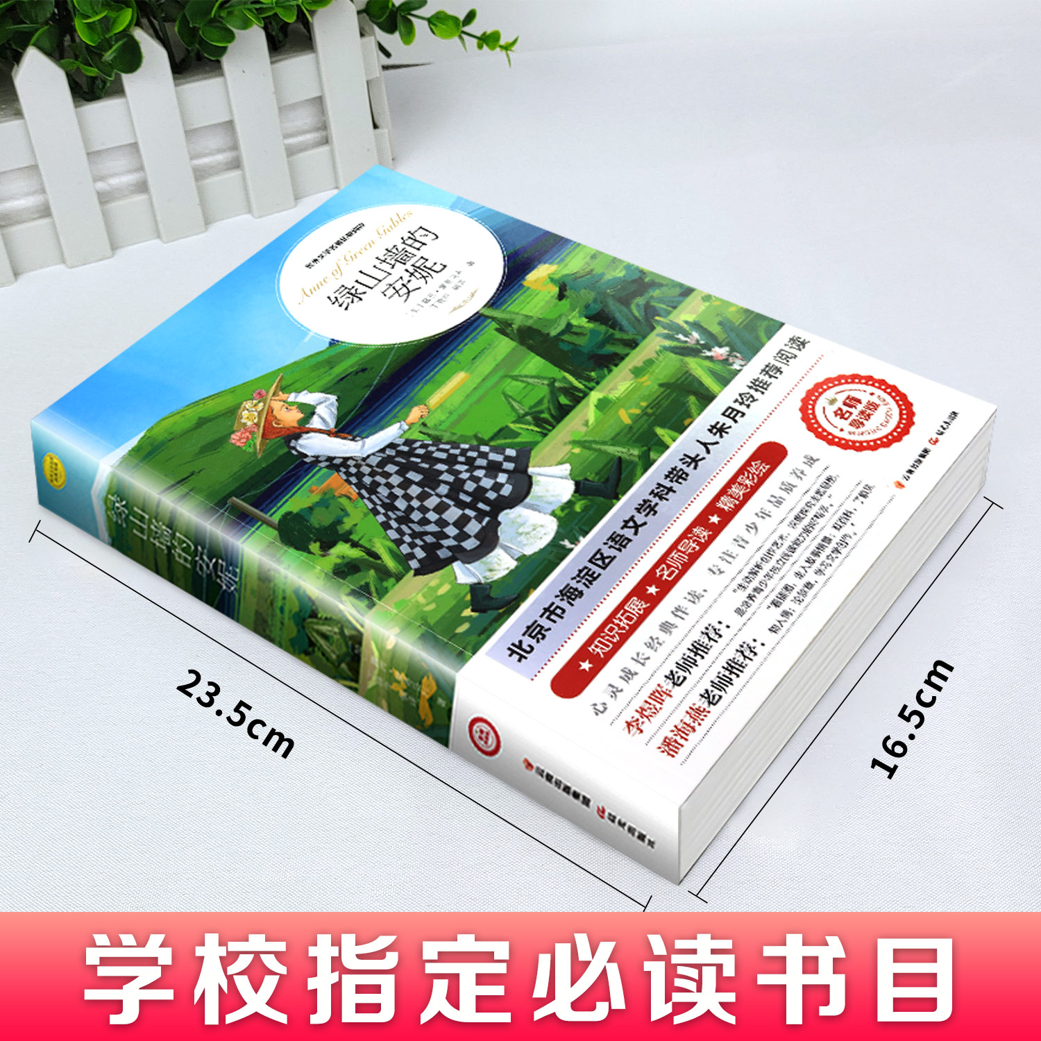 [正版]绿山墙的安妮全集蒙哥马利原著小学生三四五六年级阅读课外书必读上下册青少年儿童文学经典书籍世界名著小说高清大图
