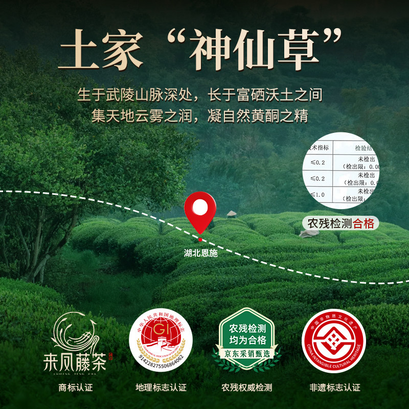 茶馬世家 特级来凤珍硒藤茶礼盒装140g(70g*2罐)(单位:盒)高清大图