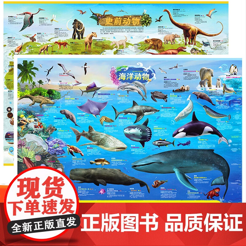 史前+海洋动物地图 墙贴儿童房专用超大挂图大尺寸高清远古恐龙书儿童科普百科全书启蒙高清大图
