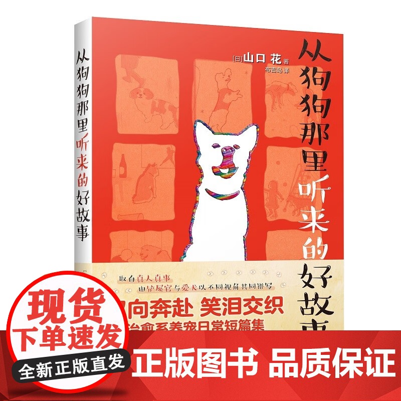 [赠明信片+定制贴纸+赠狗狗磁贴]风来自你的方向+从狗狗那里听来的好故事 隔花人等 著 治愈系养宠故事集高清大图