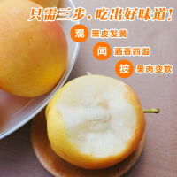 [中华特色]营口馆 南国梨鞍山南果梨 应季新鲜梨子水果 东北