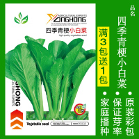 8424麒麟无籽美都西瓜种籽大全种子水果瓜小南方蔬菜苗秧种孑阳台 均码 四季青梗小白菜约800粒