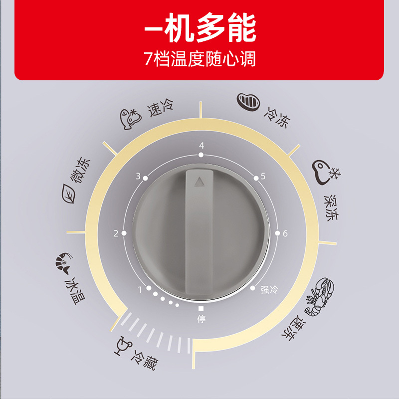 星星(XINGX)BC/BD-245KV家商两用小型两用柜单温冷藏冷冻转换一级能效高效减霜80%