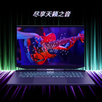 机械革命（MECHREVO）钛钽PLUS 17.3英寸游戏本笔记本电脑（十代i7-10870H 16G 1T固态+1T机械 RTX3060/6G 144Hz 72色域 定制版
