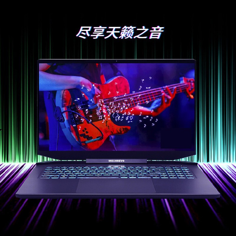 机械革命（MECHREVO）钛钽PLUS 17.3英寸游戏本笔记本电脑（十代i7-10870H 16G 1T固态+1T机械 RTX3060/6G 144Hz 72色域 定制版
